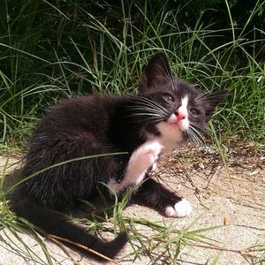 Meet your Posher, Erika